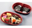 ハイキング弁当